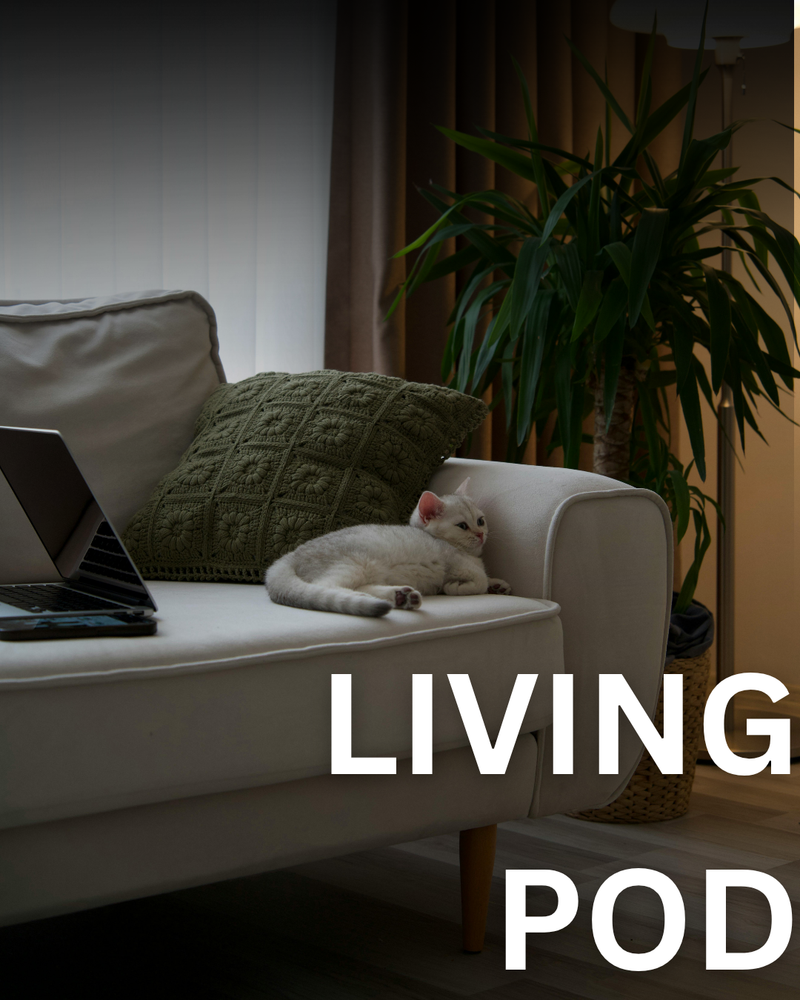 Living Pod 🛋️