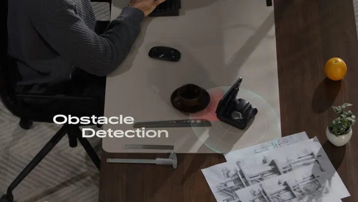 Smart AI Looi Robot